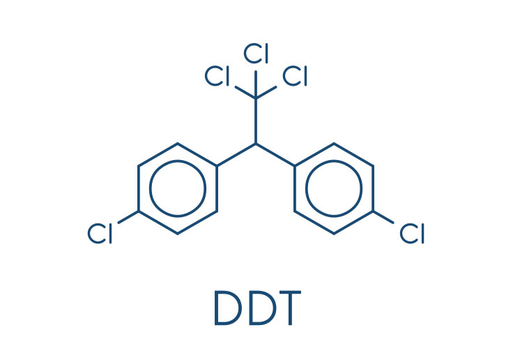די. די. טי. – DDT