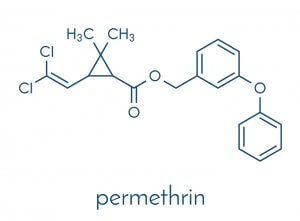 פירתרואידים – pyrethroids