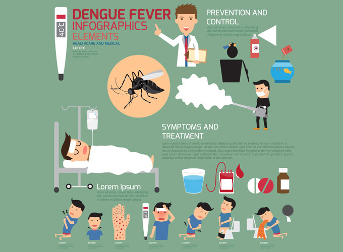 קדחת דנגה (דנגי) – (Dengue) dengue fever