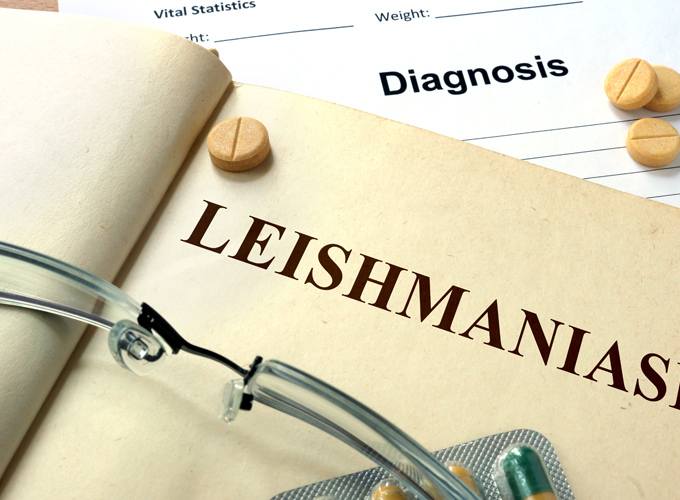 ליישמניאזיס של האיברים הפנימיים – visceral leishmaniasis