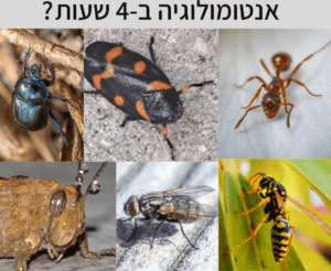 מכתב פורום המרצים להדברה