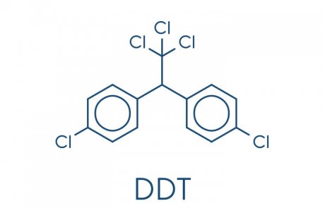 די. די. טי. – DDT