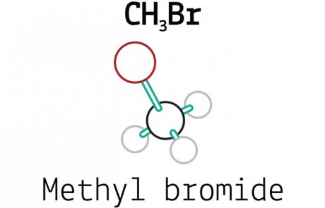 מתיל ברומיד – methyl bromide