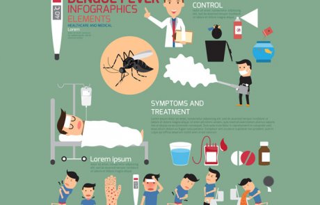 קדחת דנגה (דנגי) – (Dengue) dengue fever