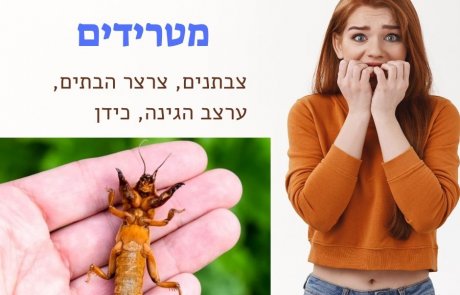 פרוקי רגליים מטרידים – צבתנים, צרצר הבתים, ערצב הגינה, כידן