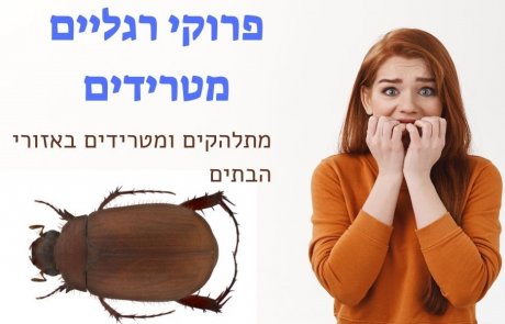 פרוקי רגליים מטרידים – מתלהקים ומטרידים באזורי הבתים