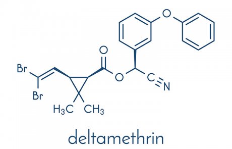 דלתאמתרין – deltamethrin
