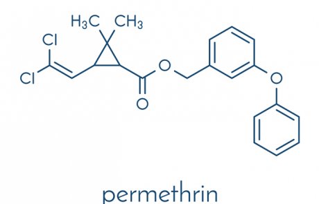 פירתרואידים – pyrethroids