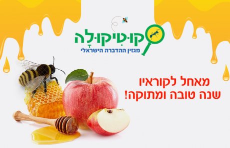 סיכום שנה עם עורך קוטיקולה, טל ויינברג