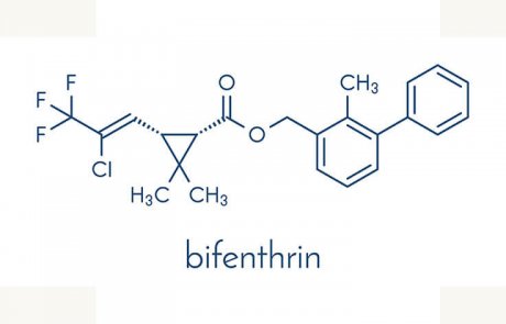 ביפנתרין – bifenthrin