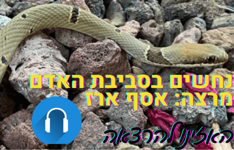 נחשים בסביבת האדם – האזינו להרצאה