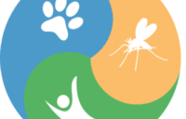 על זבובי חול, שינויי אקלים ומחלות 