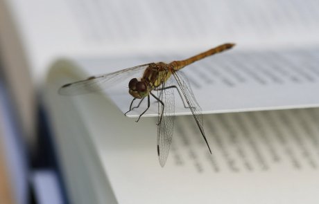 ספרי החובה לכל מדביר או חובב טבע וחרקים