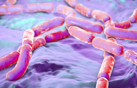 בצילוס – Bacillus