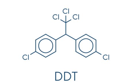 די. די. טי. – DDT
