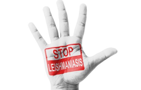 ליישמניה – Leishmania